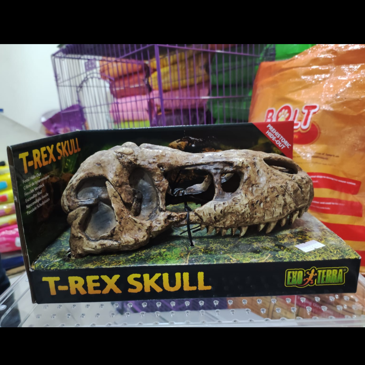 Exo Terra TREX Skull Reptile